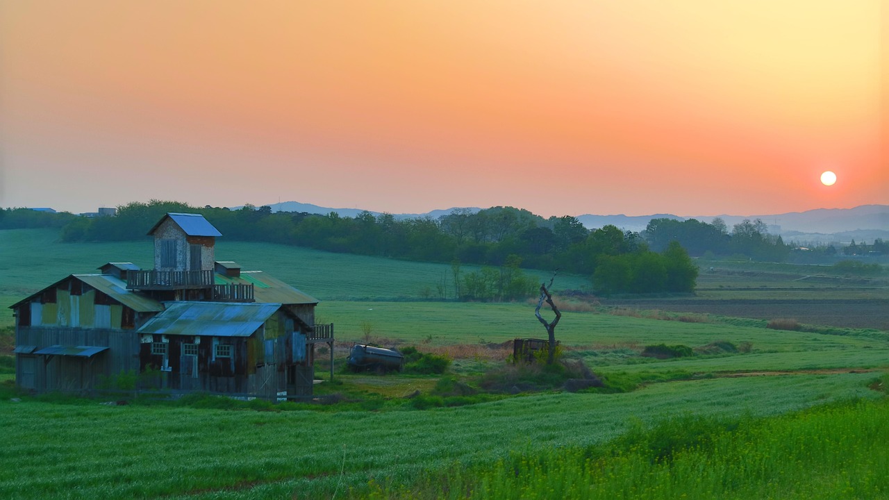 Read more about the article 안성아양영무예다음, 제대로 배우는 최고의 선택