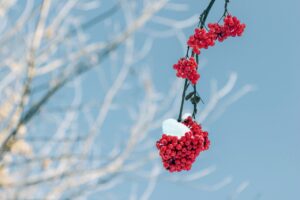 Read more about the article 클러스터용인경남아너스빌모델하우스, 완벽 가이드